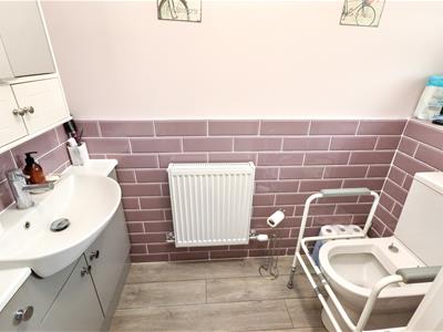 Picture 8